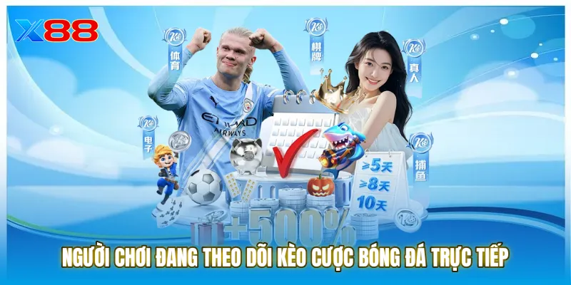 Người chơi đang theo dõi kèo cược bóng đá trực tiếp